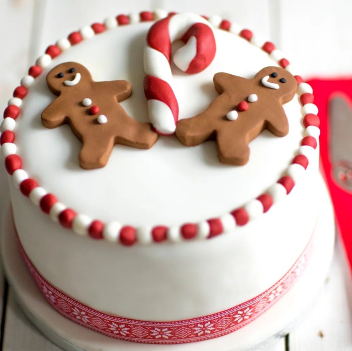 How to make christmas cake decoration ideas