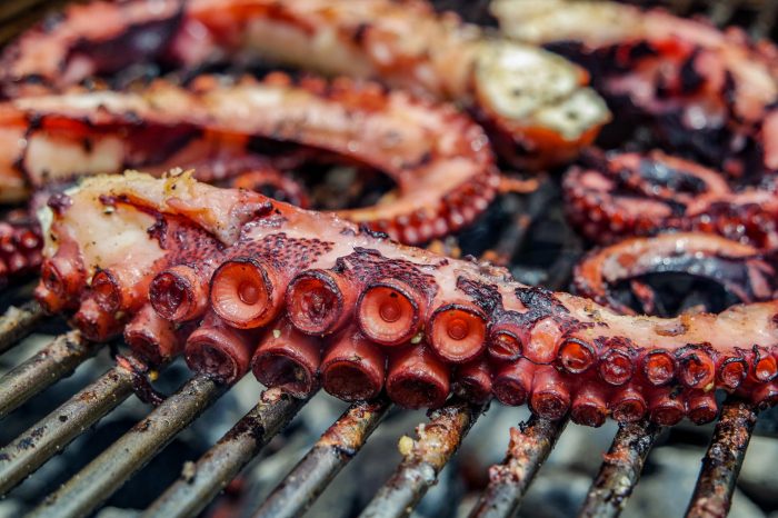 How to cook octopus style squid tentacles